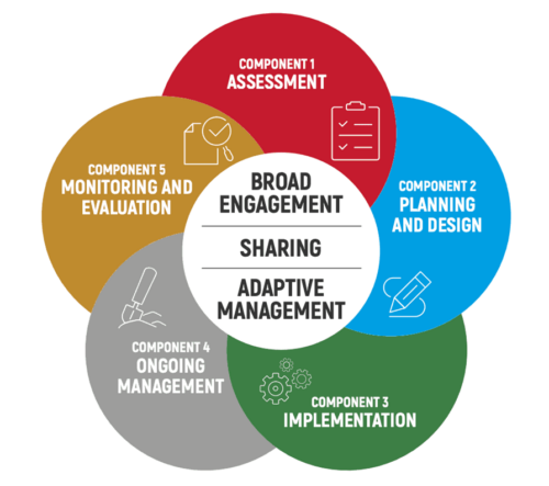 The five components of standard practices of ecosystem restoration (FAO, SER & IUCN CEM, 2023). 
