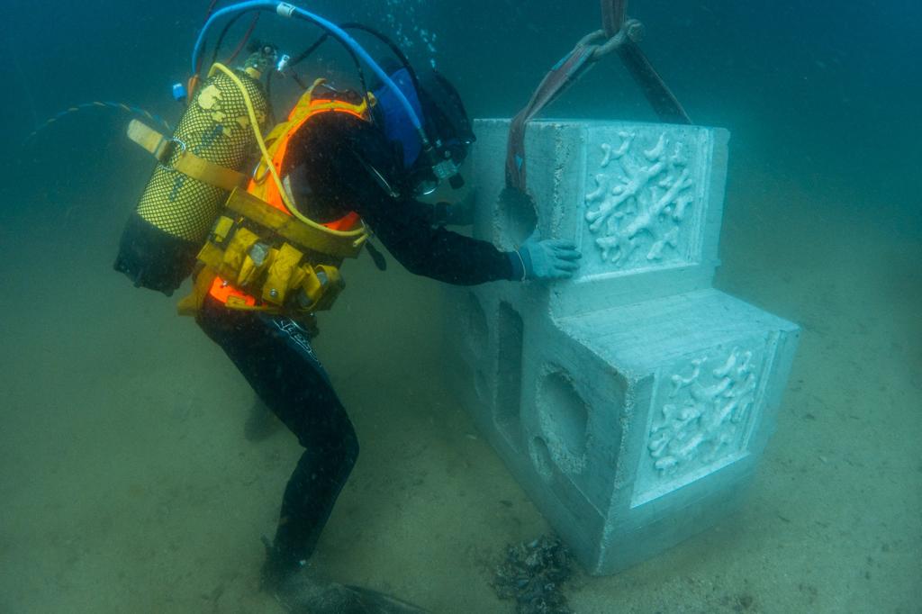 artificial reefs underwater