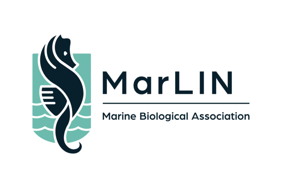 marlin