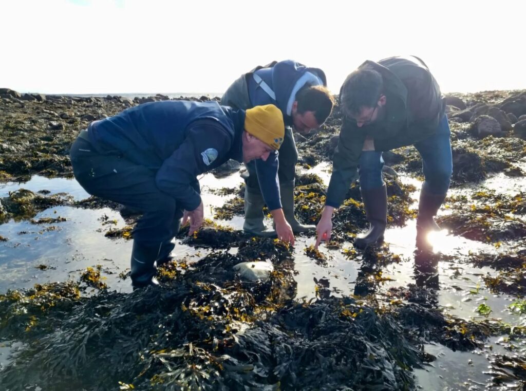 Seagrass talks to volunteers_NUIG_Galway Aquarium_ 28 03 2023