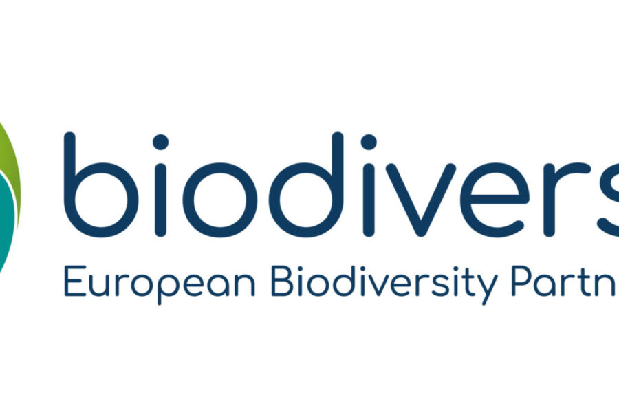 BiodiversaLogoConcept-v4