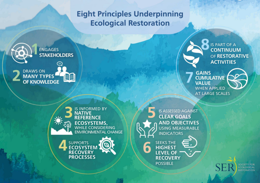Gann GD, McDonald T, Walder B, Aronson J, Nelson CR, Jonson J, Hallett JG, Eisenberg C, Guariguata MR, Liu J, Hua F, Echeverria C, Gonzales, EK, Shaw N, Decleer K, Dixon KW. 2019. International principles and standards for the practice of ecological restoration. Second edition. Restoration Ecology S1-S46. https://onlinelibrary.wiley.com/doi/full/10.1111/rec.13035