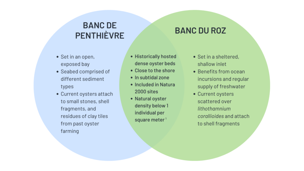 Venn diagram showcasing the similarities and differences in the two  restoration sites