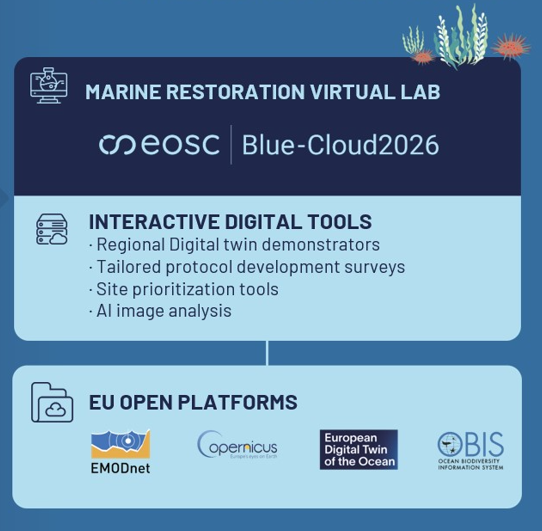 Infographic introduction to the digital tools and the digital twin's place within them