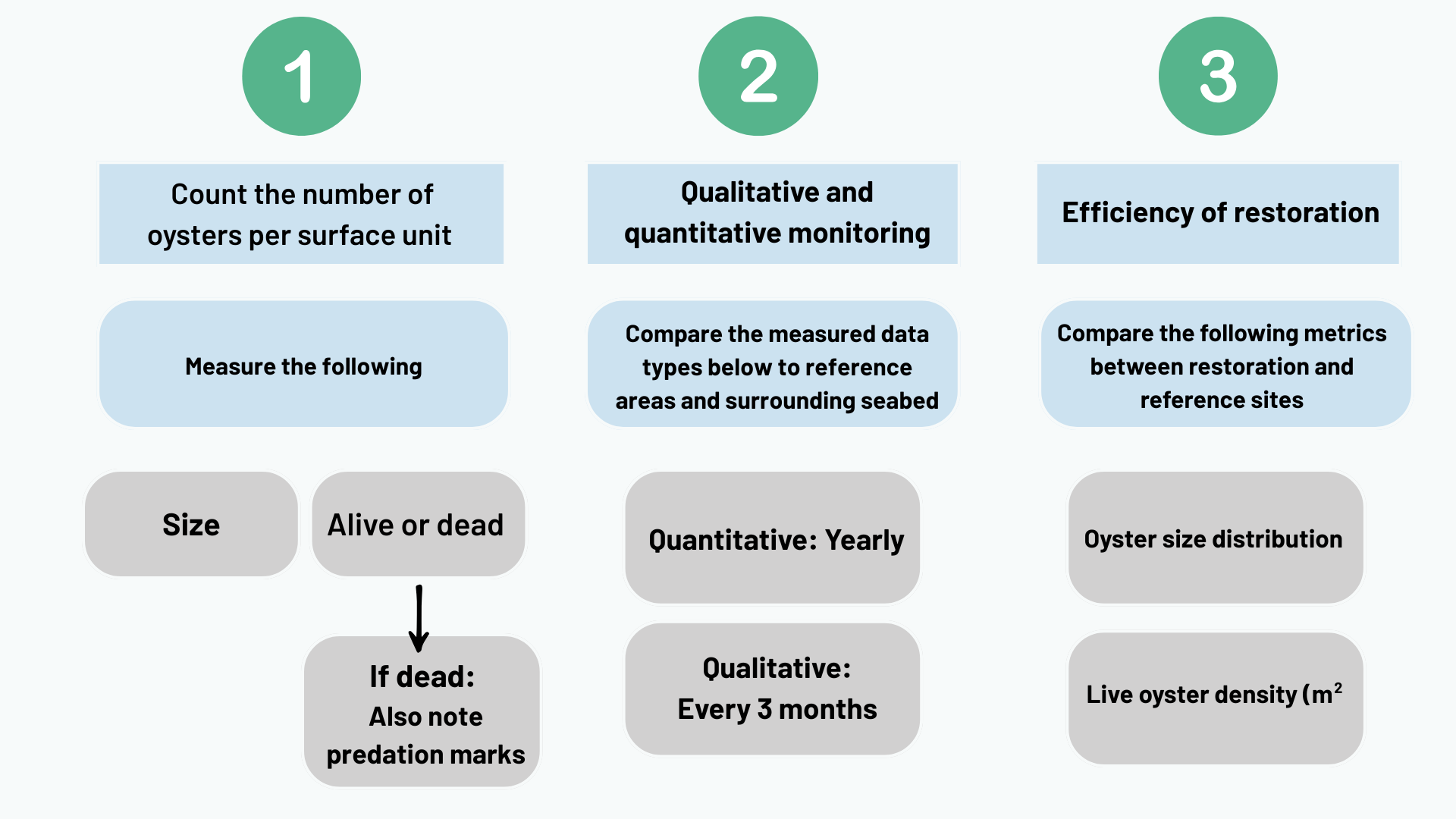 Graphic showing the 3 types of monitoring taken place at the demonstration sites