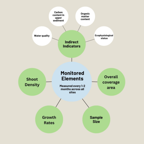 <em> Ecological elements monitored during the monitoring phase of restoration