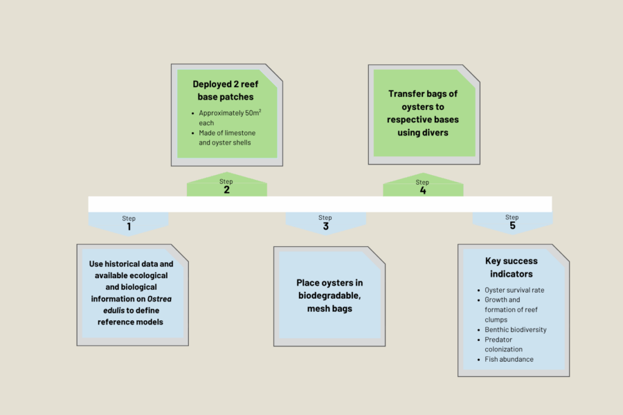 <em>Project protocols created by the German replication site