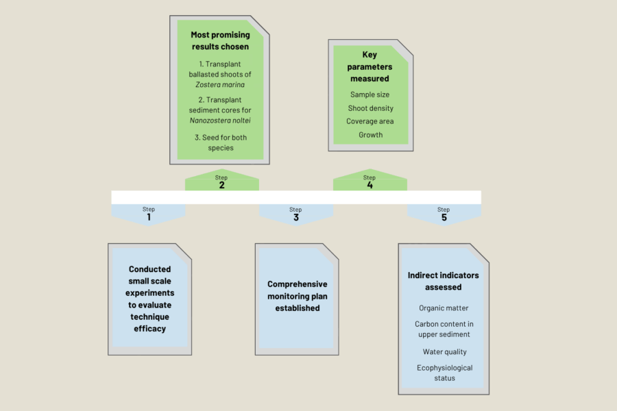 <em> Steps utilised in the restoration protocol of the Irish demonstration sites
