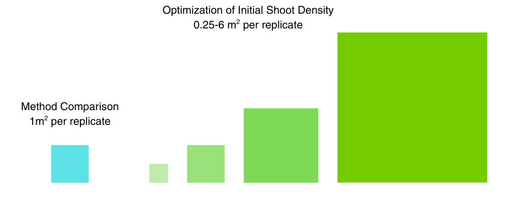 <em> Visualization of Replicate Scale