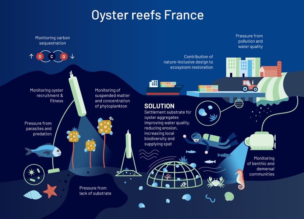 Infographic of the France demonstration site
