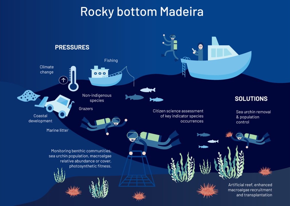 Infographic of the Madeira demonstration site