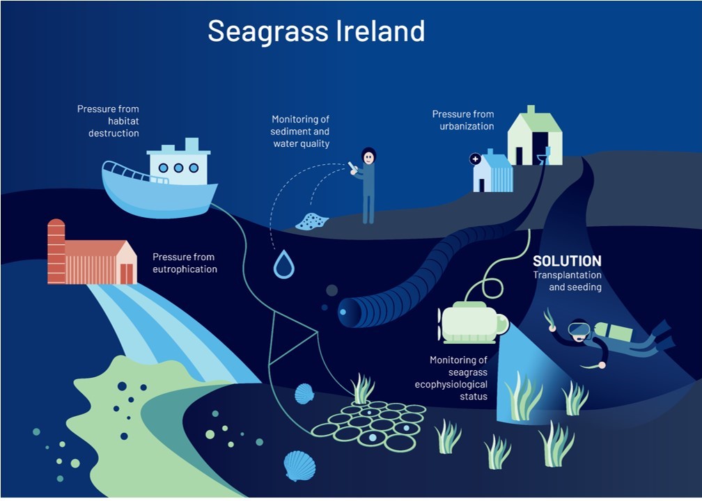 Infographic of the Ireland demonstration site