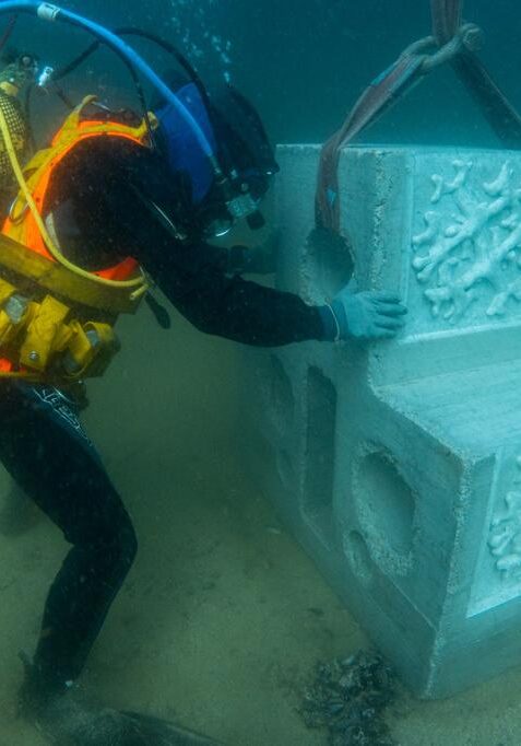 artificial reefs underwater