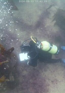 artificial_reef_census copia - Pablo Sanchez-Jerez