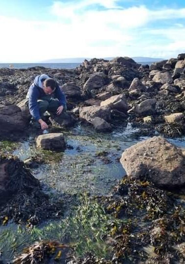 Juan, Galway Aquarium Survey, Zostera marina