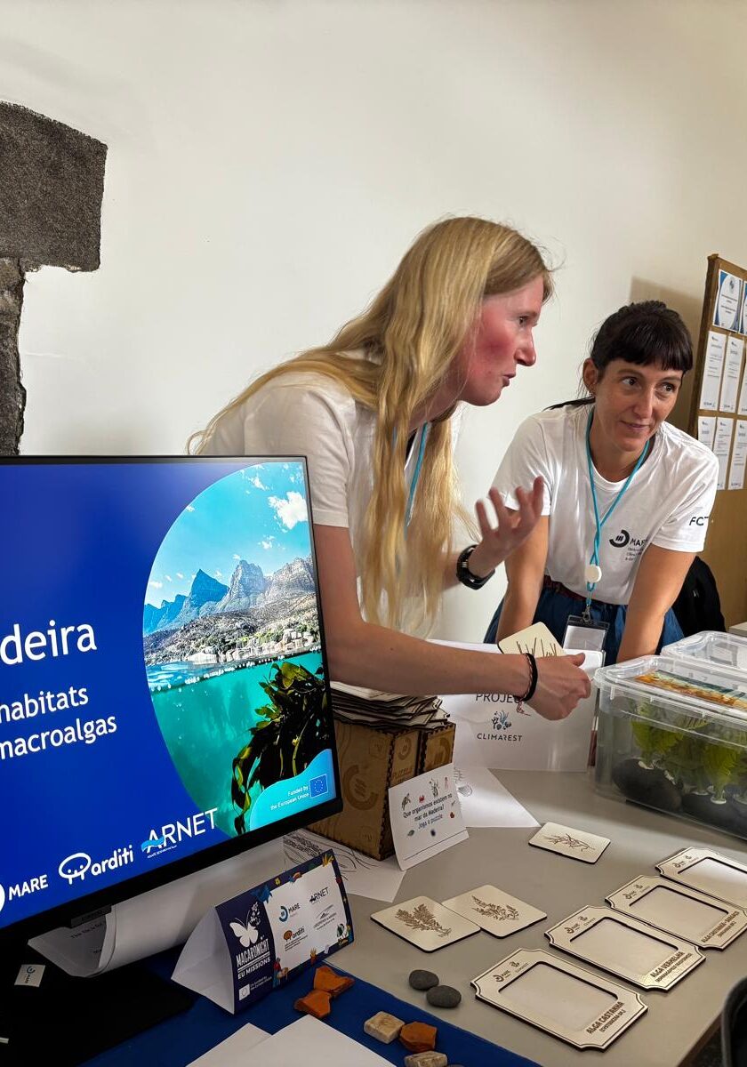 Macaronight_2024 (5)